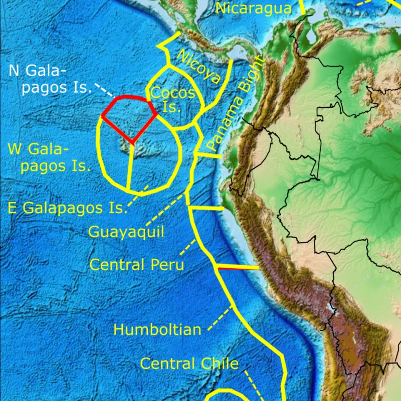 Galápagos Is Calling: How American Environmental Professionals Are Building Careers at the Edge of the World