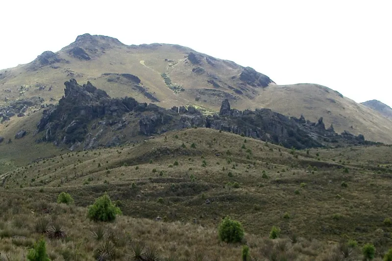 Timing Is Everything: A Month-by-Month Guide to Landing a Tourism Job in Ecuador