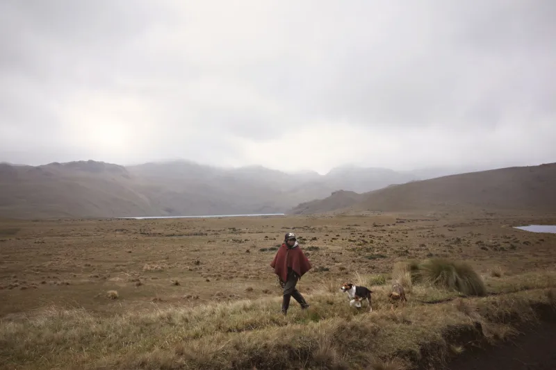 Peak Season Playbook: How American Tourism Professionals in Ecuador Turn Four Busy Months Into Year-Round Financial Security